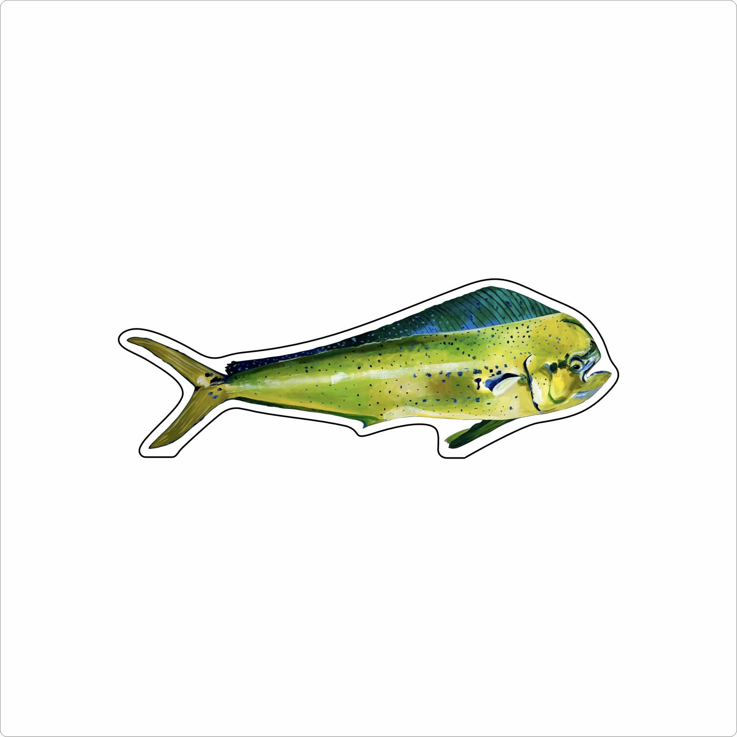 BLA-038 Mahi | 0.75Acrylic Contour |