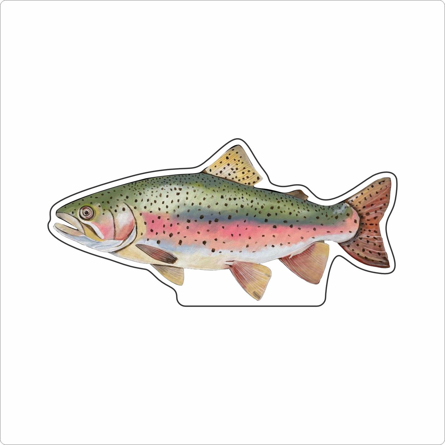 BLA-047 Rainbow Trout Mini | 0.50Acrylic Contour |