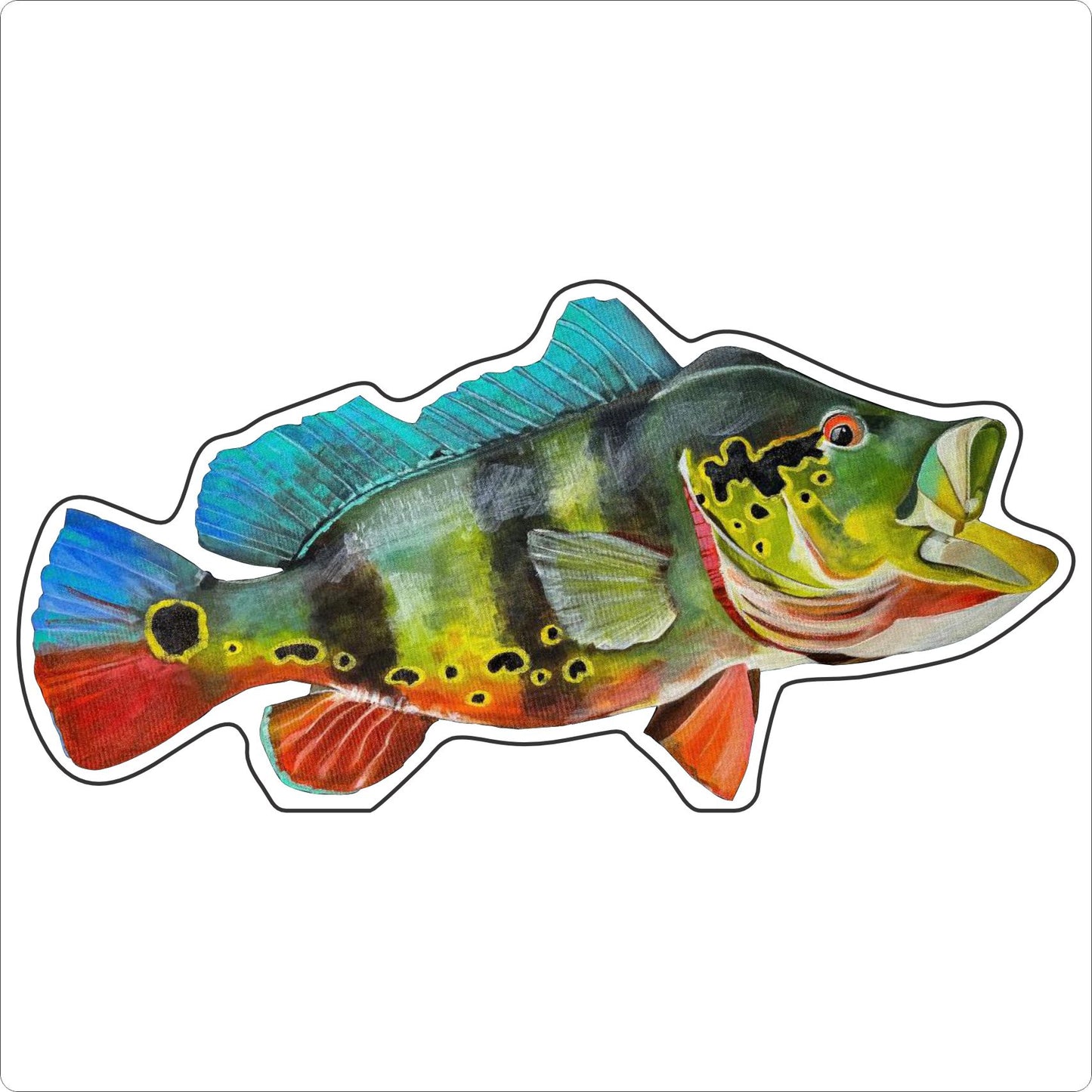 BLA-059 Peacock Bass Mini | 0.50Acrylic Mini Contour