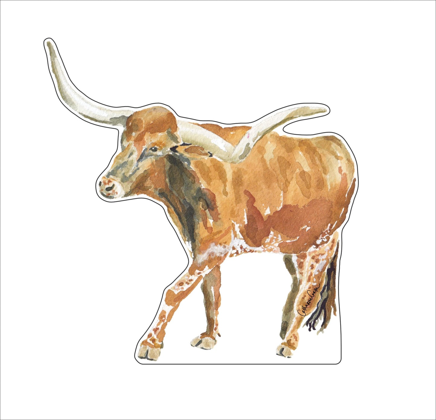 CCRT-096 Longhorn | 0.75Acrylic Contour | Case of 25