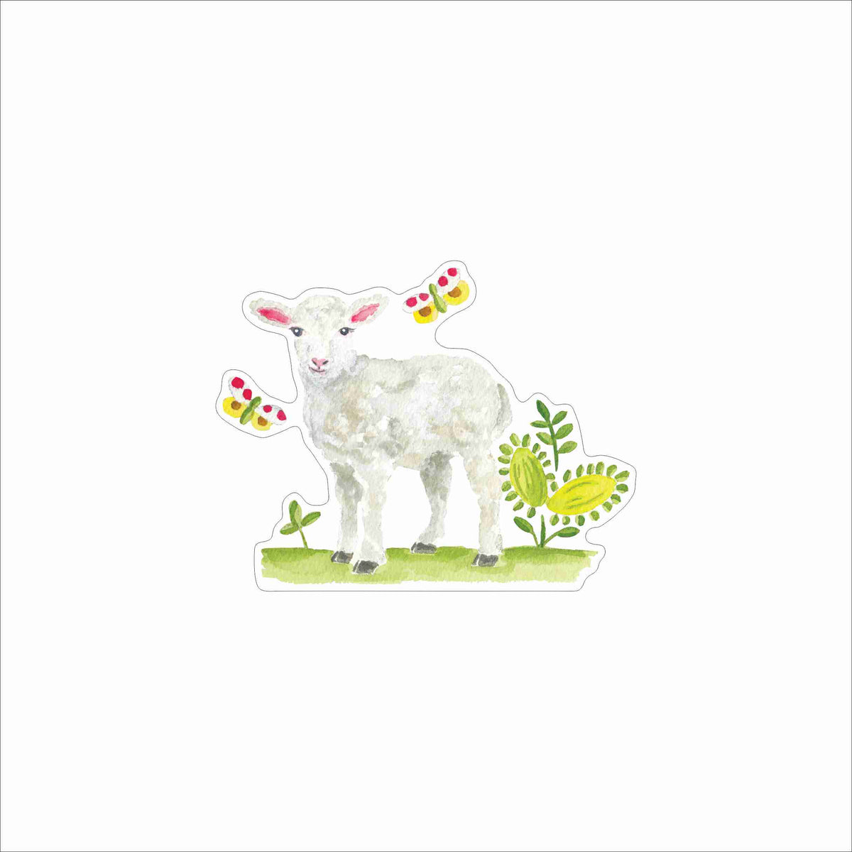 CCRT-111 Sheep | 0.75Acrylic Contour | Case of 25