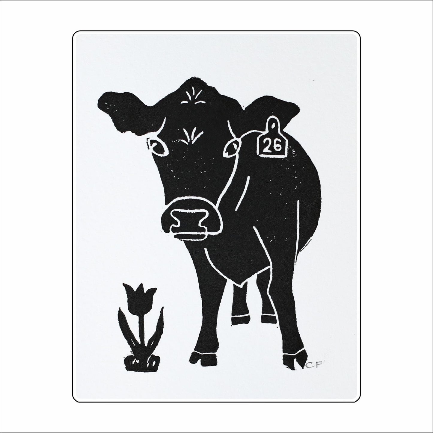 CFA-001 Two-Six Cow | 0.75Acrylic Contour |