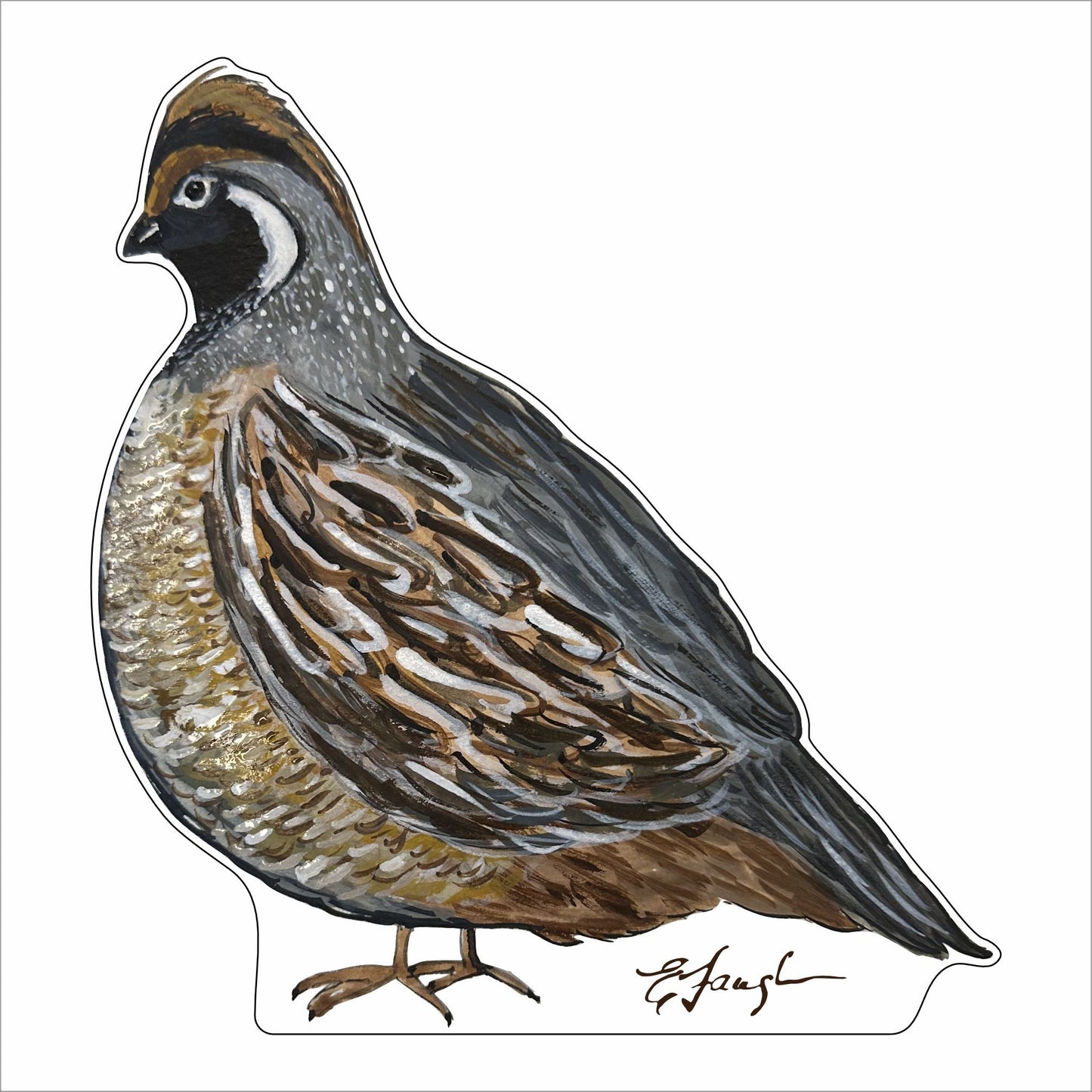 EFA-017 Male Bobwhite Quail | 0.75in. Acrylic Contour |