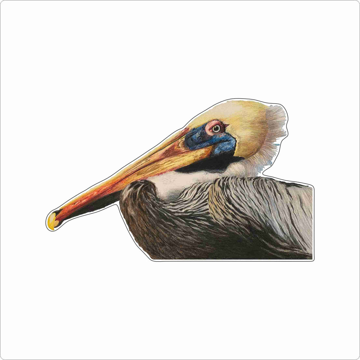GAS-007 Pelican Mini | 0.50Acrylic Mini Contour