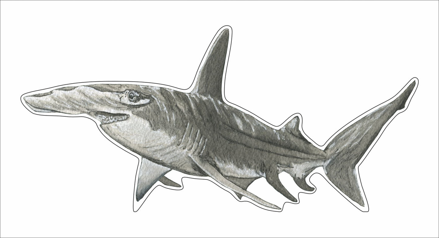 JRD-002 Hammerhead Shark | 0.75in. Acrylic Contour |