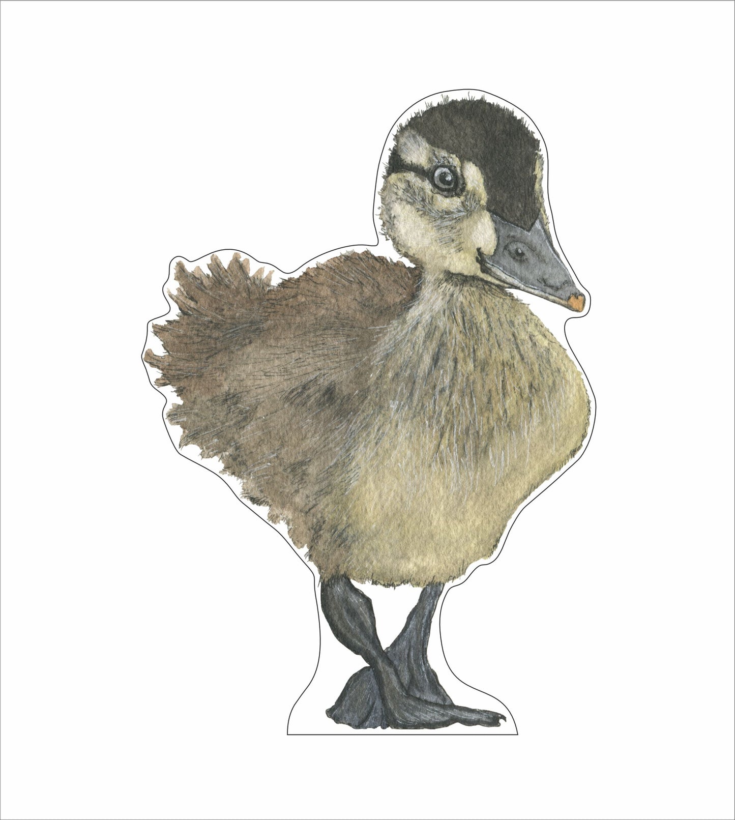 JRD-003 Duckling | 0.75in. Acrylic Contour |