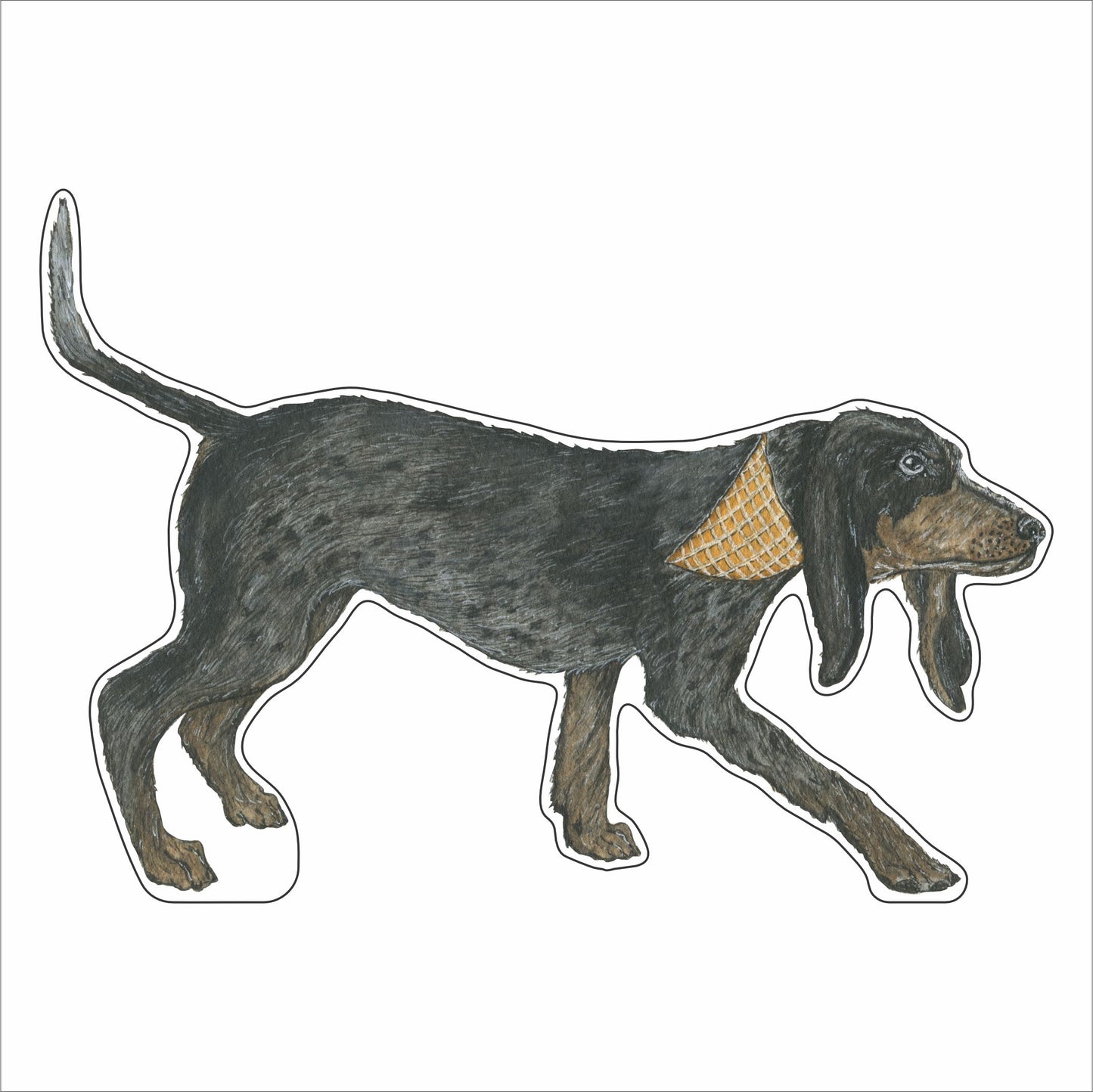 JRD-022 Coonhound | 0.75Acrylic Contour