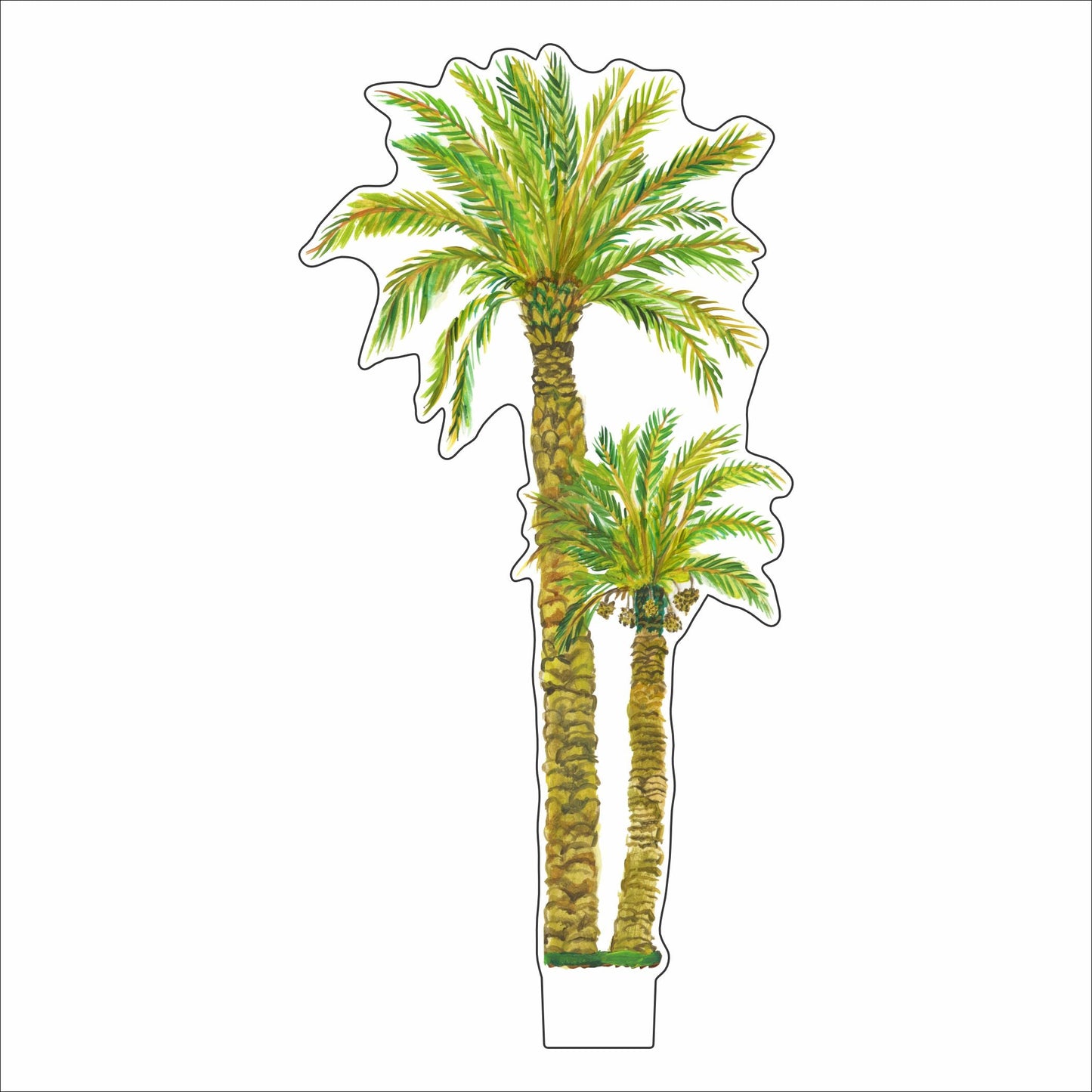 KHA-232 Nativity Palm Trees + Stand | 0.25 Acrylic