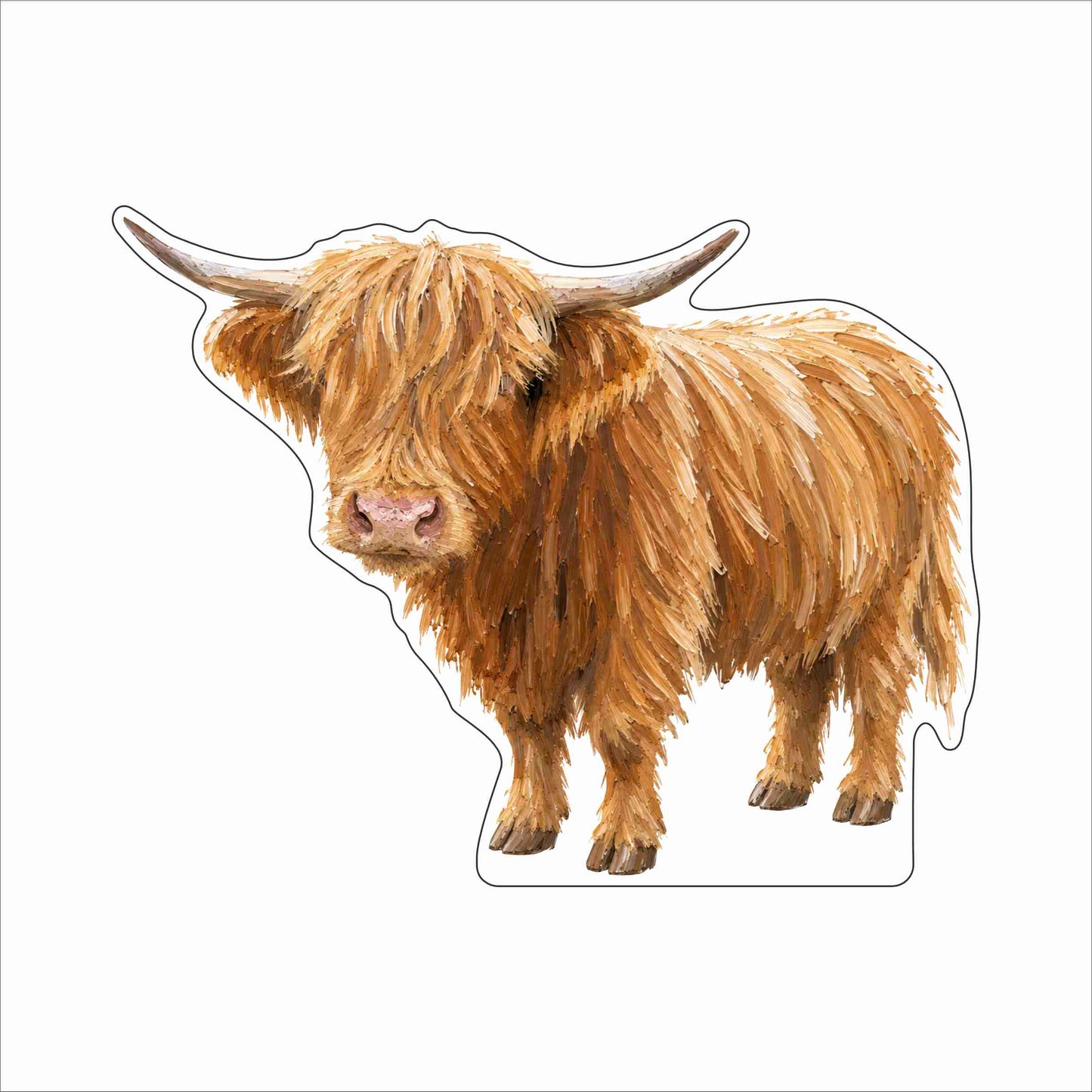 MAM-001 Highland Cow | 0.75Acrylic Contour