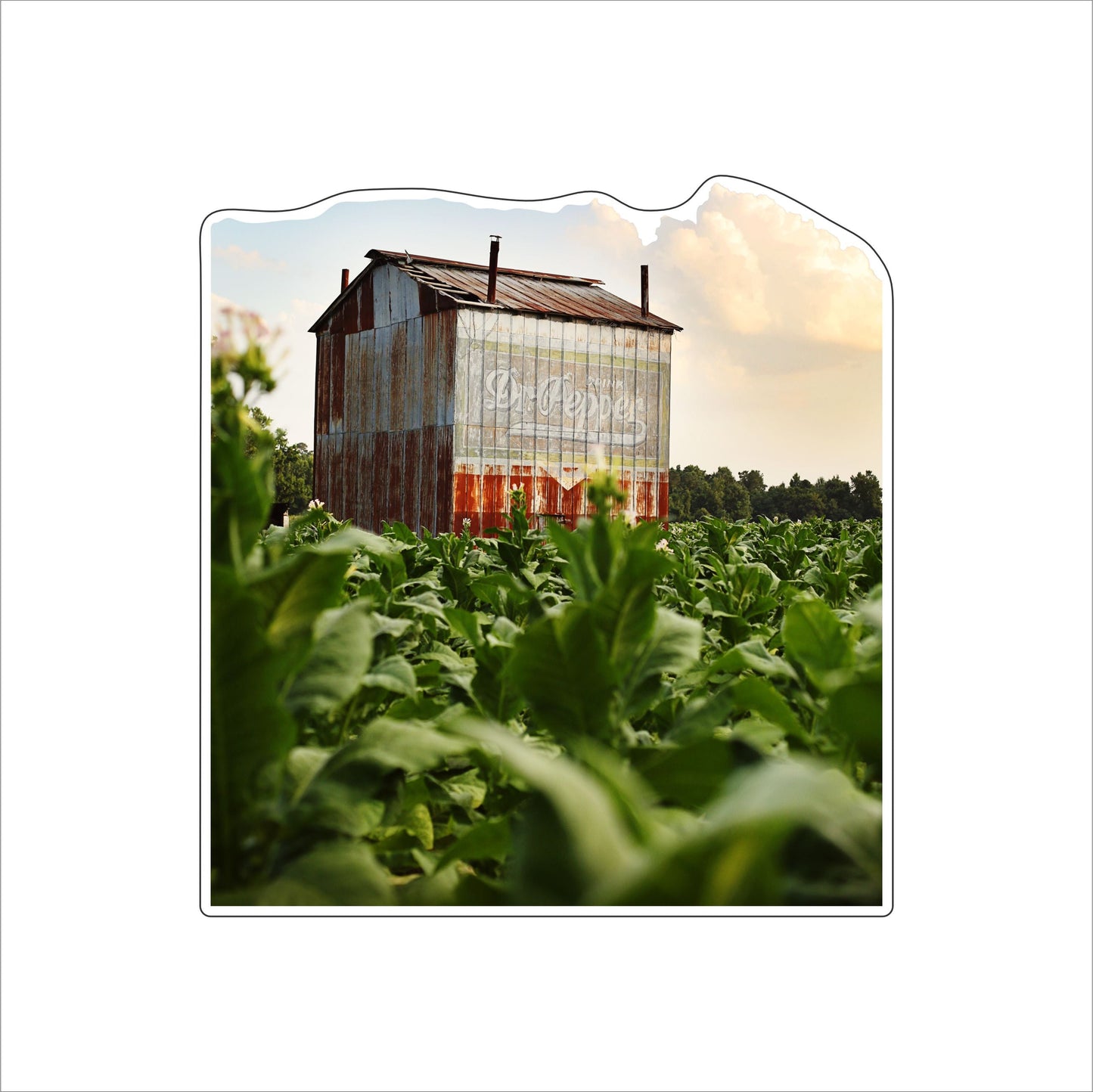 MWH-001 Tobacco Barn | 0.75Acrylic Contour |
