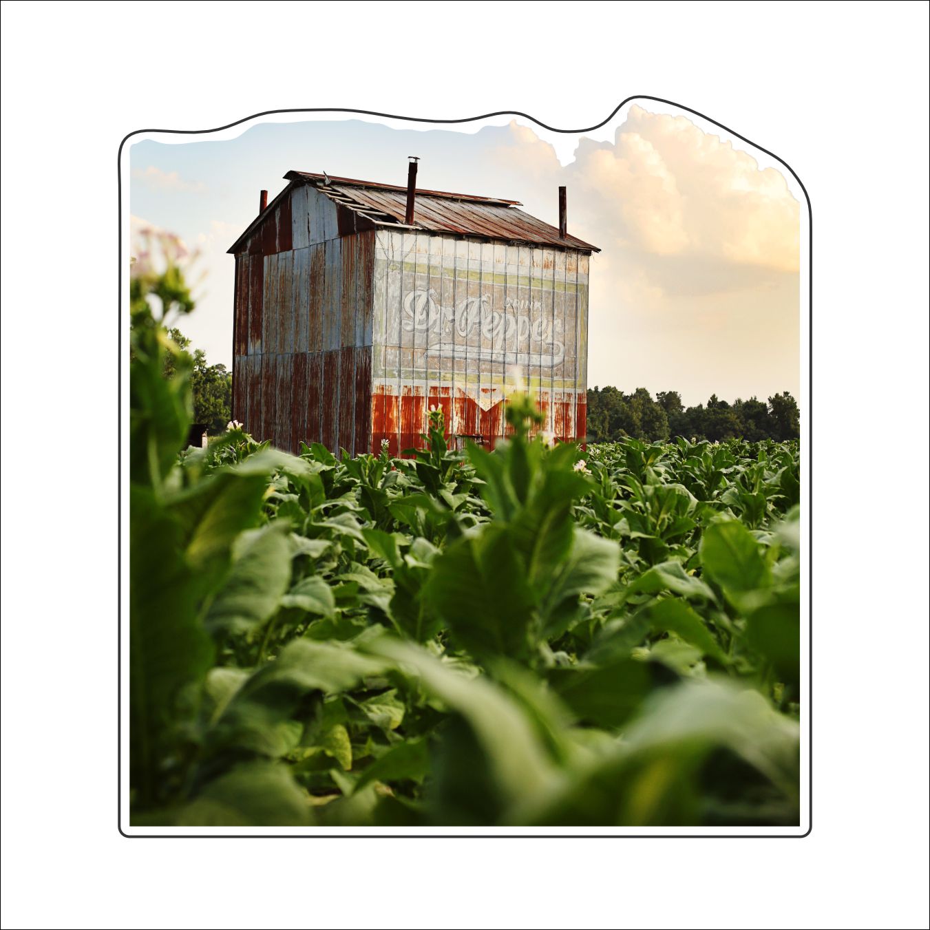 MWH-002 Tobacco Barn Mini | 0.25Acrylic Mini |