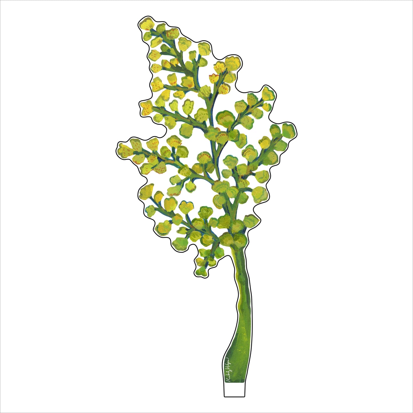 Maidenhair Fern | 0.25in. Acrylic Floral