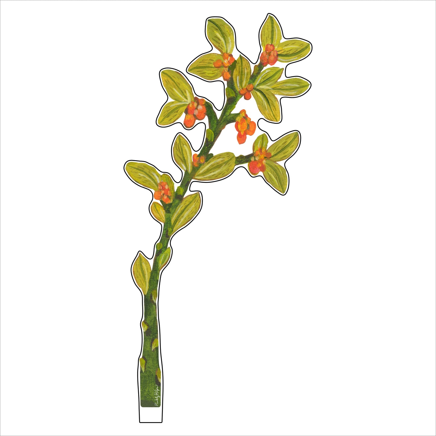 Orange Berries | 0.25in. Acrylic Floral