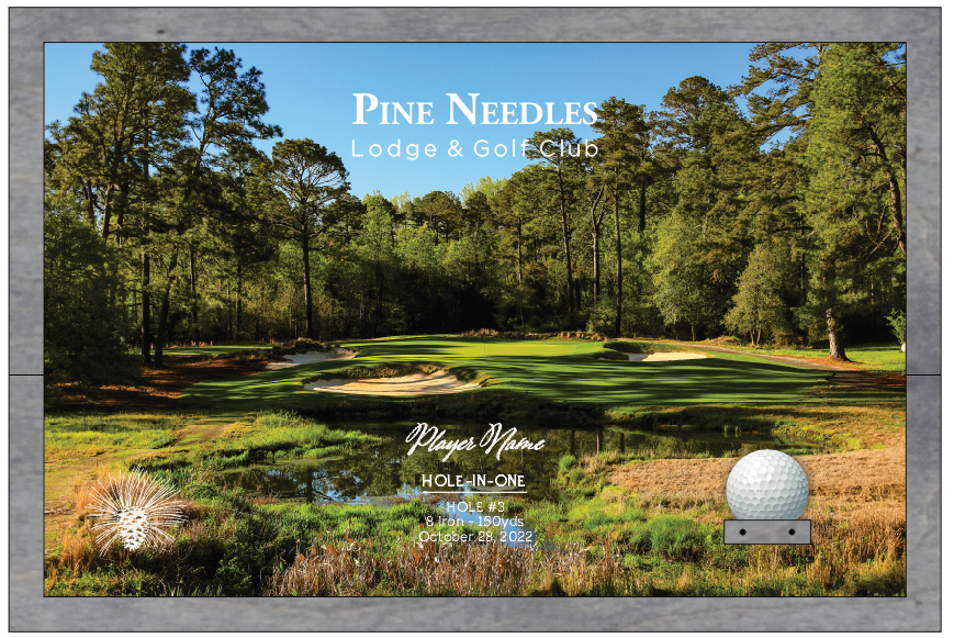 Pine Needles | Hole in One Shadowbox | Hole 3