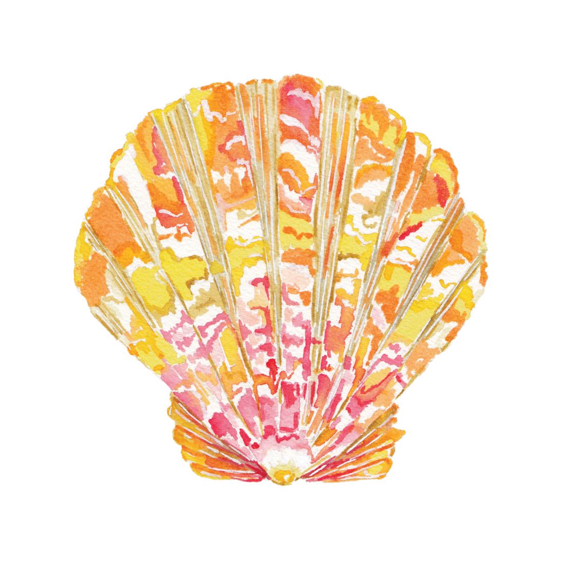 CCRT-028 Sunrise Shell Mini | 0.50" Acrylic Cutout | Case Bundle of 25