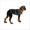 AHM-036 Blue Tick Hound | 0.75Acrylic Contour |