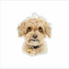 LPA-012 Goldie Ornament | 0.25Acrylic Ornament