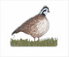 ALCH-001 Quail | 0.75Acrylic Contour |