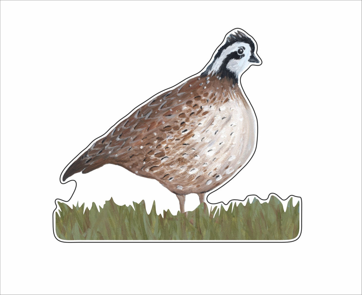 ALCH-001 Quail | 0.75Acrylic Contour |