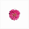 CSR-005 Pink Flower Ornament | 0.25Acrylic Ornament