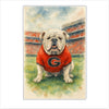 AED-001 Bulldog 1 | 0.75Acrylic Contour |