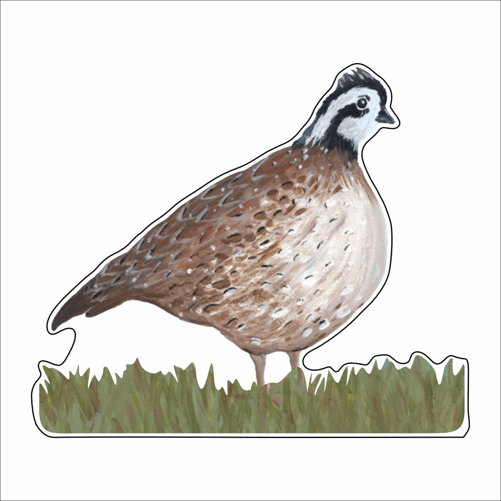 ALCH-003 Quail Mini | 0.50Acrylic Mini Contour