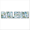ATA-016 Raleigh Blue | 0.75in. Acrylic Cutout |
