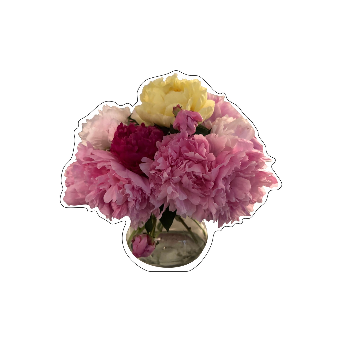 BAS-001 Peonies | 0.75Acrylic Contour