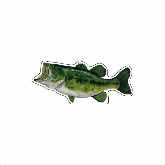 BLA-042 Large Mouth Bass | 0.75Acrylic Contour |