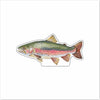 BLA-046 Rainbow Trout | 0.75Acrylic Contour |