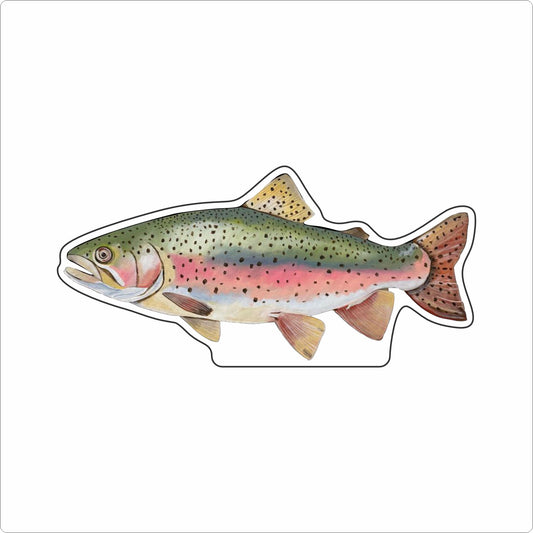BLA-047 Rainbow Trout Mini | 0.50Acrylic Contour |