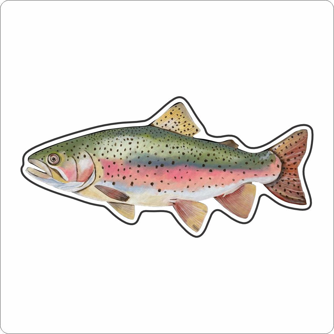 BLA-049 Rainbow Trout Magnet | 0.125Acrylic Magnet |