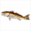 BLA-051 Redfish Mini | 0.50Acrylic Contour |