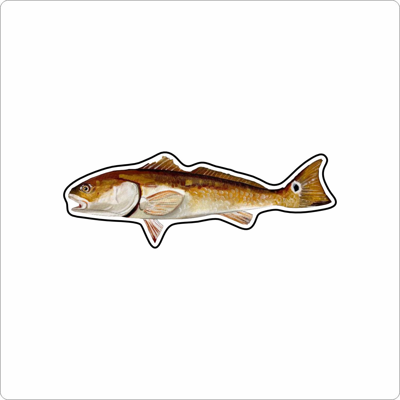 BLA-053 Redfish Magnet | 0.125Acrylic Magnet |