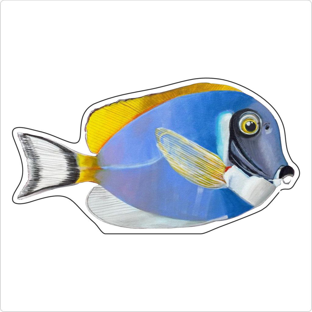BLA-054 Powder Blue Tang | 0.75Acrylic Contour