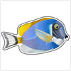 BLA-057 Powder Blue Tang Magnet | 0.125Acrylic Magnet | Components