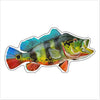 BLA-058 Peacock Bass | 0.75Acrylic Contour
