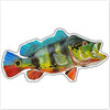 BLA-059 Peacock Bass Mini | 0.50Acrylic Mini Contour