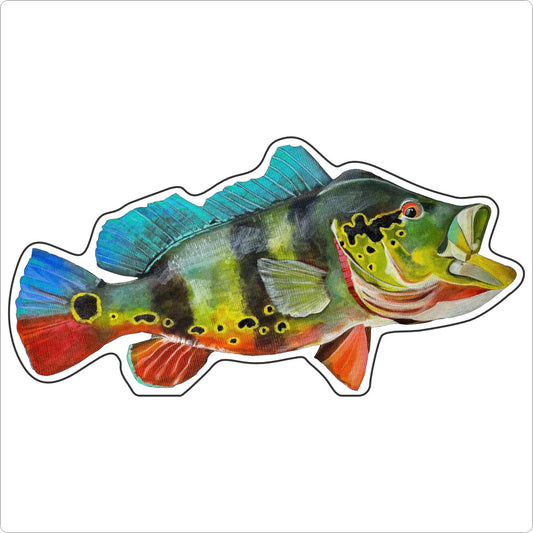 BLA-059 Peacock Bass Mini | 0.50Acrylic Mini Contour