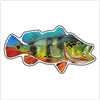 BLA-060 Peacock Bass Magnet | 0.125Acrylic Magnet | Components