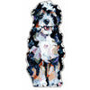 Bernedoodle | 0.75in. Acrylic Shelfie | Case of 25