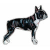Boston Terrier | 0.50in. Acrylic Mini | Case of 25