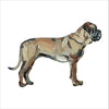 Bullmastiff Fawn | 0.75in. Acrylic Cutout | Case Bundle any 10+ (Pack of 1)