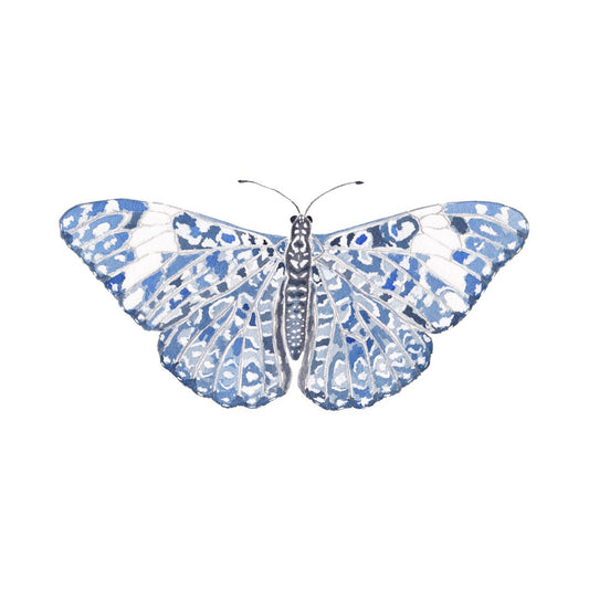 CCRT-044 Butterfly Blue Chinoiserie Mini | 0.50" Acrylic Cutout | Case Bundle of 25