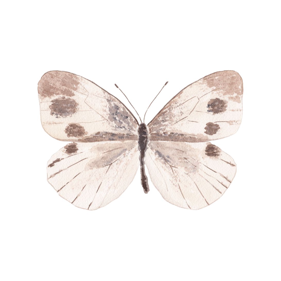 CCRT-038 Butterfly Neutral | 0.75" Acrylic Cutout | Case Bundle of 25