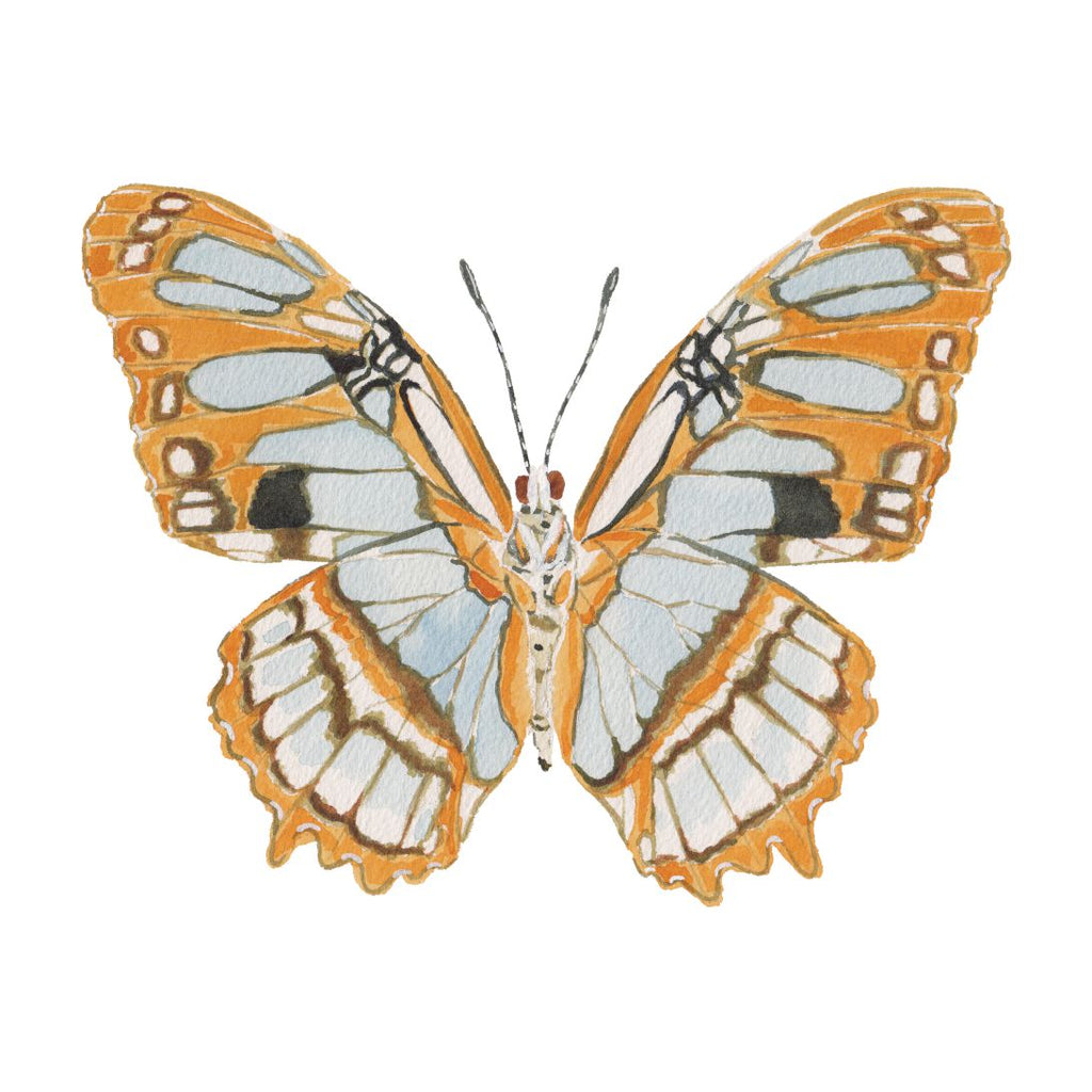 CCRT-041 Butterfly Orange | 0.75" Acrylic Cutout |