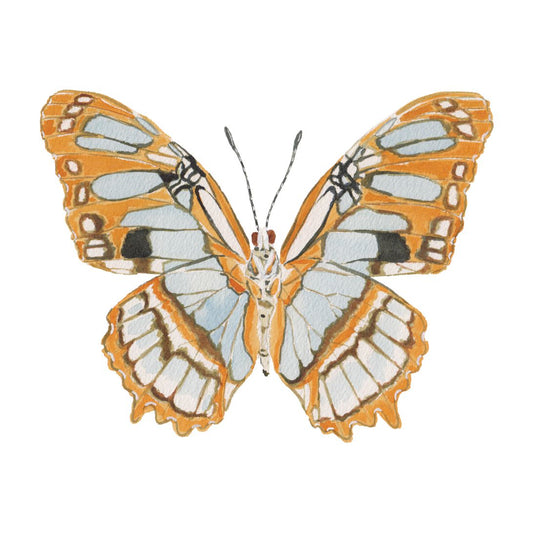 CCRT-041 Butterfly Orange | 0.75" Acrylic Cutout |