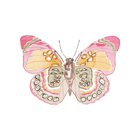 CCRT-040 Butterfly Pink & Green | 0.75" Acrylic Cutout | Case Bundle of 25