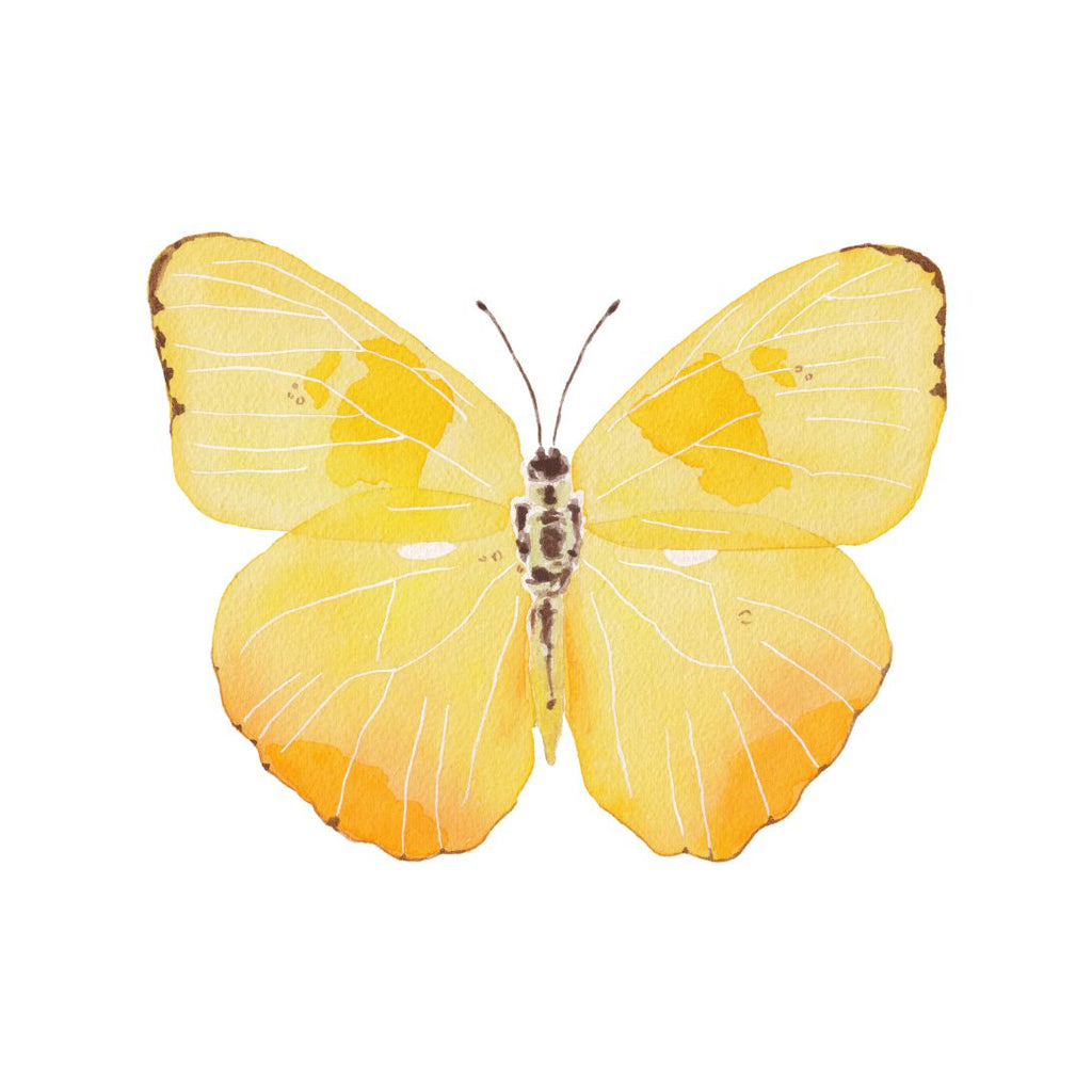 CCRT-048 Butterfly Yellow Mini | 0.50" Acrylic Cutout | Case Bundle of 25