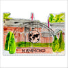 CAA-012 Hammond School | 0.75in. Acrylic Cutout